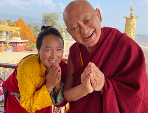 Preghiera di lunga vita e preghiere continue per Lama Zopa Rinpoce