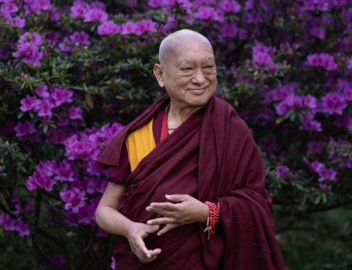 Recitare continuamente i Nomi di Manjushri per un veloce ritorno di Lama Zopa Rinpoce