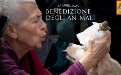 Benedizione degli animali