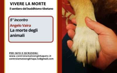 La morte degli animali – Angelo Vaira – 5°incontro di VIVERE LA MORTE